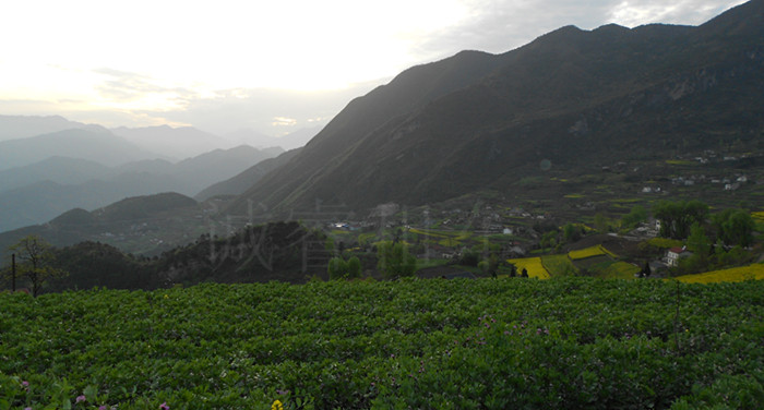 �人�����⳵��������Һ������и�Լ��ɽ��ʵ��ͼ